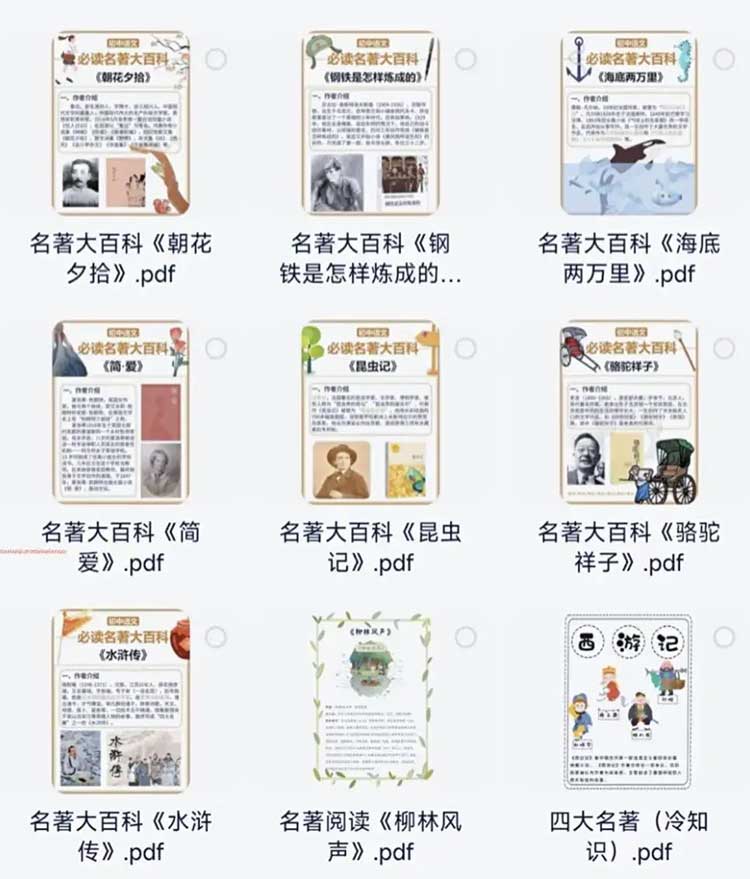 小红薯爆火的《100部名著精读笔记》绘本PPT+导读+读书笔记