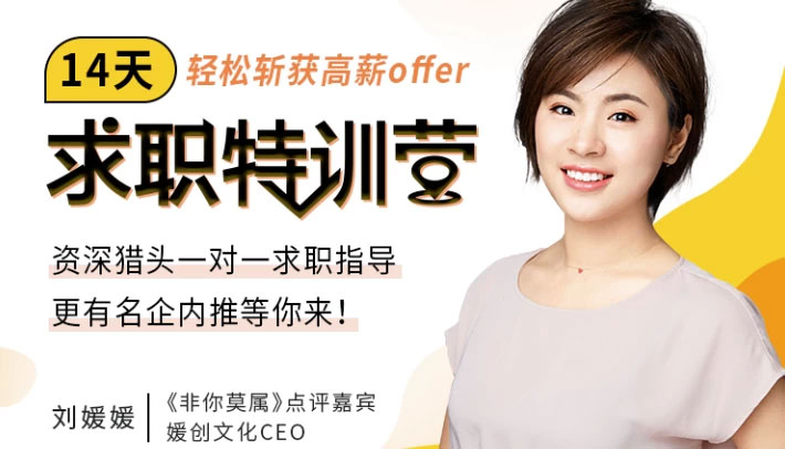 14天求职特训营 轻松斩获高薪offer 刘媛媛 媛创文化 MP4
