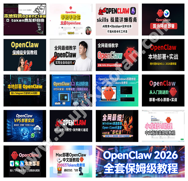 OpenClaw 2026 全套保姆级教程 小白10分钟部署小龙虾 Win+Mac+云端多平台 多模型接入
