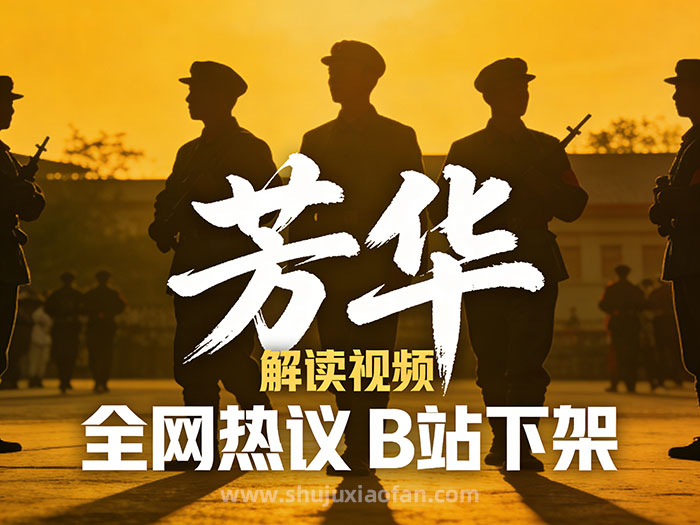 下架的B站《芳华》解读视频：一场情绪共振与争议交织的风波