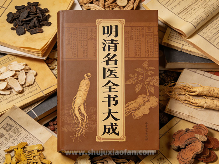 《明清名医全书大成》30册PDF合集 中医古籍经典资源 30位顶尖医家的毕生医学著述 PDF