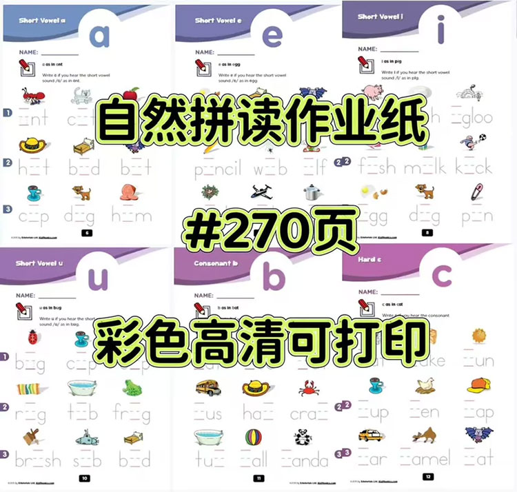 自然拼读作业纸 270 页 彩色高清可打印 全彩图像抓注意力 科学体系省心练习册 PDF