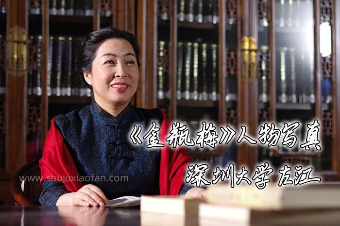 深圳大学《金瓶梅人物写真》左江教授带你重读《金瓶梅》解构欲望与生存 MP4