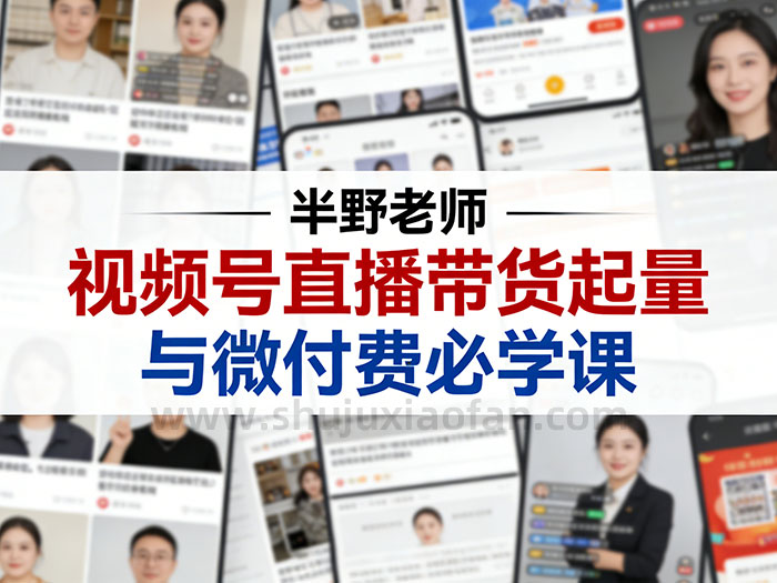 半野老师 视频号直播带货起量与微付费必学课 最新算法规则教学 提供实用带货增长策略 MP4
