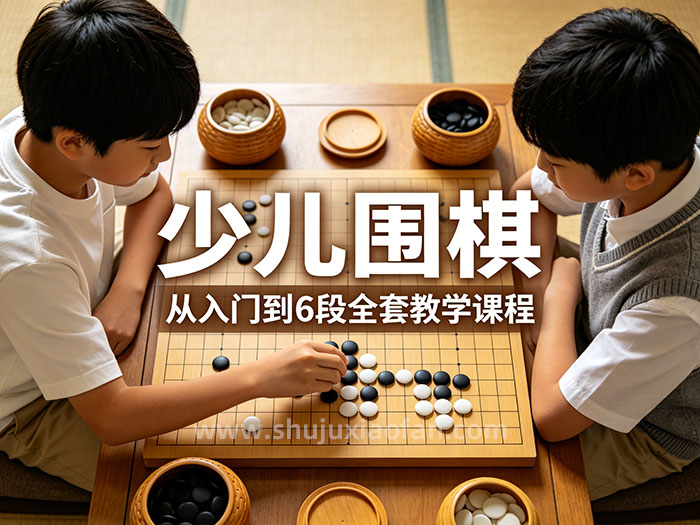 《少儿围棋：从入门到 6 段全套教学课程》智慧对弈 见证成长 从兴趣出发 以能力结实