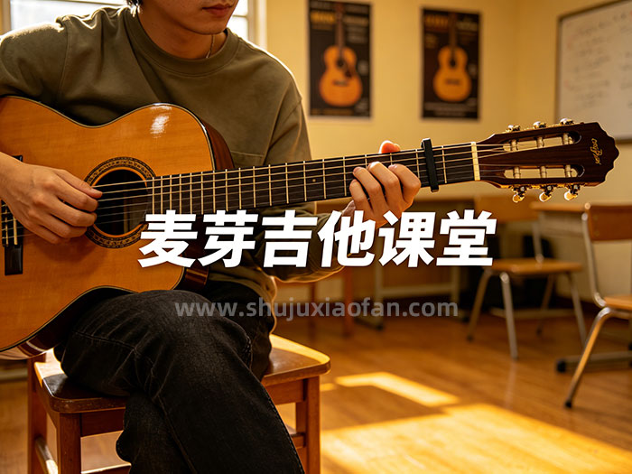 麦芽吉他课堂《入门+进阶》系统课程 从零到精通 系统化的吉他学习进阶指南