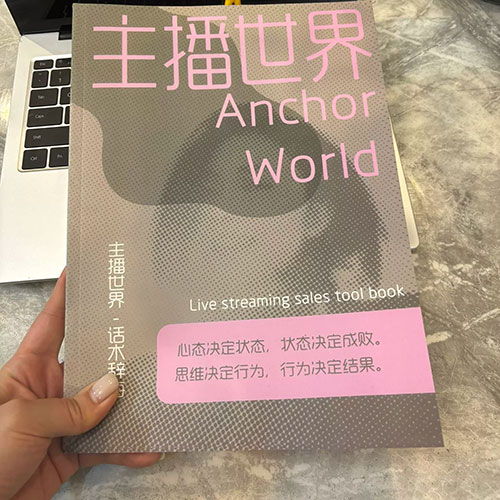 晚晚主播训练营《主播世界》：话术+实操+技巧全攻略！新人小白也能秒变带货达人 PDF