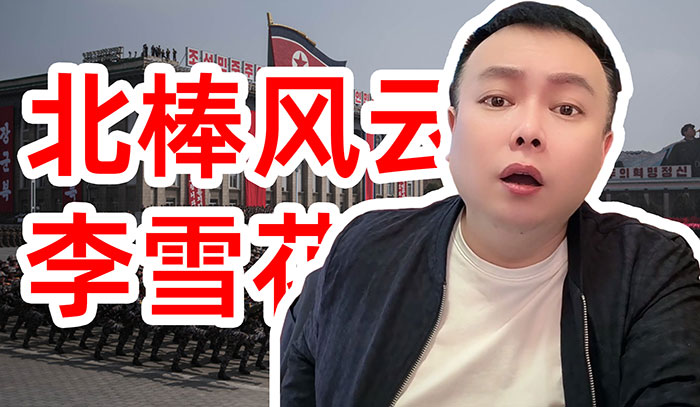 李雪花 北棒风云系列全集 别看历史了 直接看“雪花戏说” 当沉重历史变成大型脱口秀 MP4