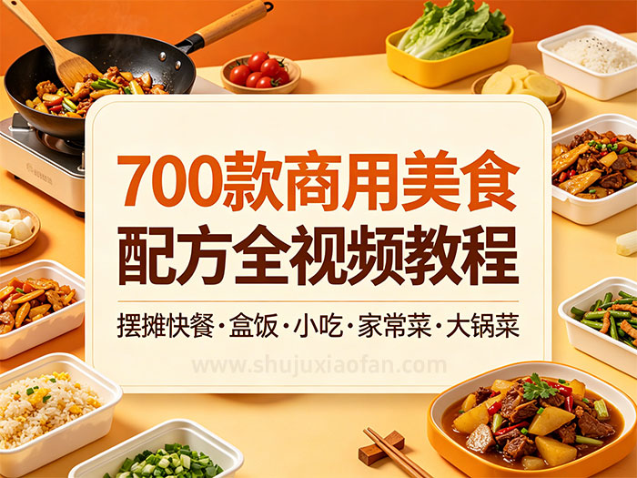 700 款商用美食配方全集：摆摊快餐・盒饭・家常菜・大锅菜 150G全视频教程 零基础手把手教学 MP4