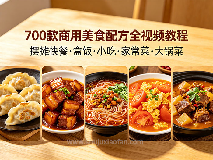 700 款商用美食配方全集：摆摊快餐・盒饭・家常菜・大锅菜 150G全视频教程 零基础手把手教学 MP4