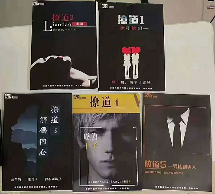 男性情感必修课 舞步学院《撩道》全五册的男性高情商成长路径 男生情商开挂指南 两性电子书 PDF