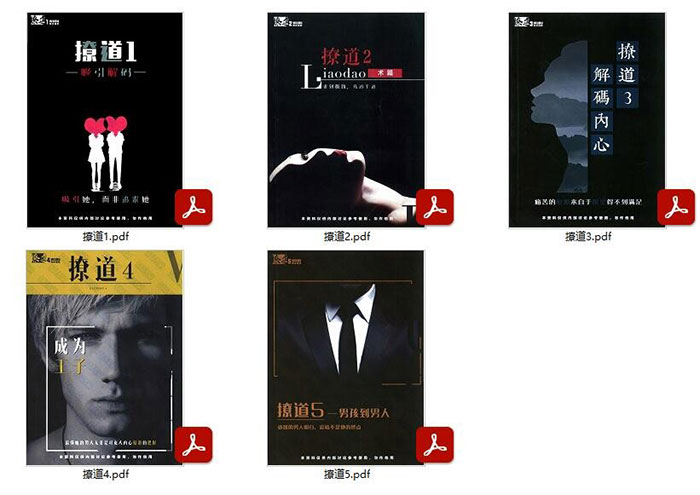 男性情感必修课 舞步学院《撩道》全五册的男性高情商成长路径 男生情商开挂指南 两性电子书 PDF