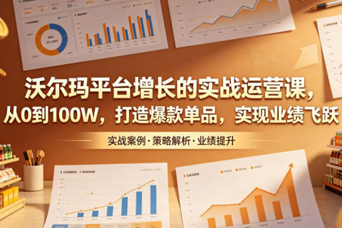《沃尔玛平台增长的实战运营课》从0到100W 打造爆款单品 实现业绩飞跃 14课全 MP4