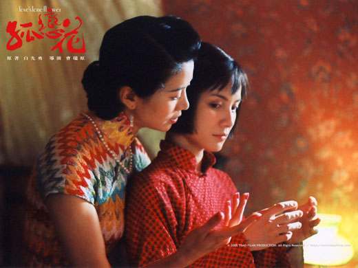 2005 台湾时代剧《孤恋花》袁咏仪 李心洁 萧淑慎 华语女同影视的无冕史诗 完整16集台版 MKV