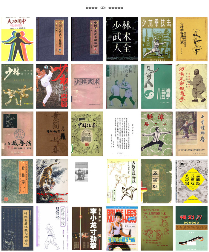 【珍藏版】中国功夫系列图书全30册合集:少林、咏春、形意、八极、螳螂、李小龙武术秘籍一次看够 PDF