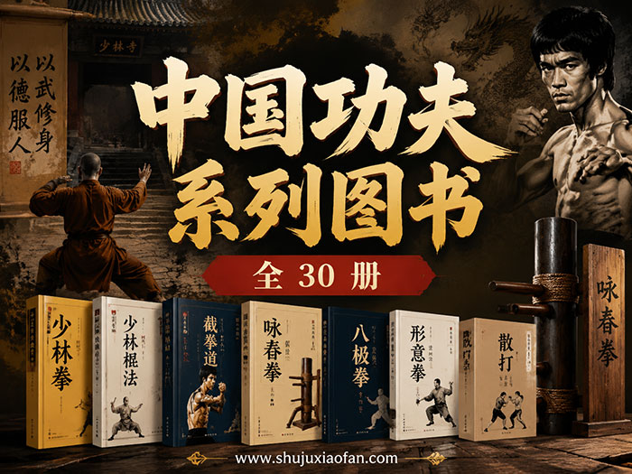 【珍藏版】中国功夫系列图书全30册合集:少林、咏春、形意、八极、螳螂、李小龙武术秘籍一次看够 PDF