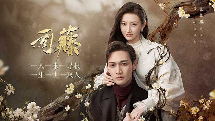 2021景甜近代奇幻剧《司藤》全 30 集+番外篇+幕后珍藏纪录片+花絮直播合集 4K60帧超高清 MP4