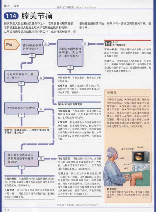 DK家庭医生常见病诊疗手册（第5版）：权威家庭健康顾问/全彩图解日常疾病防治全书 PDF