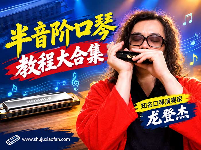 龙登杰半音阶口琴教程大合集:12调音阶+颤音+玩转口琴 爵士/布鲁斯/即兴/转调/名曲演奏一次学透 MP4