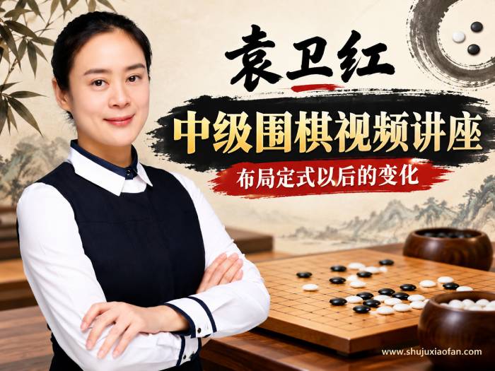 袁卫红中级围棋视频讲座《定式以后的变化》24集全：职业棋手亲授定式后的厚薄判断与中盘转换 MP4
