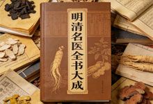 《明清名医全书大成》30册PDF合集 中医古籍经典资源 30位顶尖医家的毕生医学著述 PDF