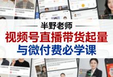半野老师 视频号直播带货起量与微付费必学课 最新算法规则教学 提供实用带货增长策略 MP4