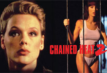 1993年经典电影《魔鬼黑狱2》（Chained Heat 2）女子监狱感官动作片 1080P 超高码率 英语中字 MKV