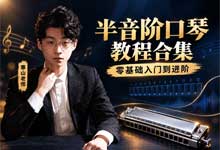 【寒山老师】半音阶口琴教程合集・零基础入门到进阶｜基础+技巧进阶+震音专项 一站式学会 MP4