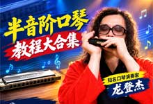 龙登杰半音阶口琴教程大合集：12调音阶+颤音+玩转口琴 爵士/布鲁斯/即兴/转调/名曲演奏一次学透 MP4