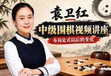 袁卫红中级围棋视频讲座《定式以后的变化》24集全：职业棋手亲授定式后的厚薄判断与中盘转换 MP4