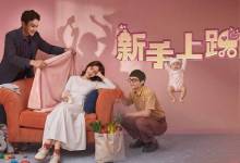 2026必看高分台剧《新手上路》爆笑奇幻喜剧｜当带货主播遇上“灵界保姆团”，陈意涵带娃大战神鬼 1080P MP4